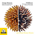 Cargar la imagen en la vista de la galería, Raw Honey Straws – Orange Blossom & Wildflower | Weeks Honey Farm
