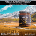 Load image into Gallery viewer, Authentic Himalayan Shilajit® Gummies