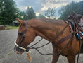 Cargar la imagen en la vista de la galería, Tahoe 5/8" Natural Rawhide Braided Bosal with Rawhide Core & Leather Hanger Versatile Horse Training Gear with Classic Design & Comfortable Fit Black / Tan