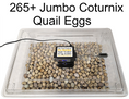 Load image into Gallery viewer, Rite Farm Products PRO Hatcher Incubator for Egg Tray Transfer from Cabinet Incubators