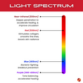 Load image into Gallery viewer, TheraSculpt™ Facial Sculpting & Red Light Therapy Device