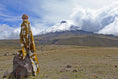 Load image into Gallery viewer, Sierra Throw Blanket: Khaki Alpaca Wool & Acrylic 89" x 79"