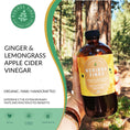 Cargar la imagen en la vista de la galería, Organic Spearmint & Rosemary Moringa Infusion – Daily Herbal Tonic with Apple Cider Vinegar, Honey | Supports Mental Clarity & Circulation | Non-GMO, 16 oz