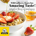 Load image into Gallery viewer, Our Best All-Natural Pure Raw Gallberry Honey