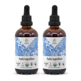 Cargar la imagen en la vista de la galería, Astragalus Tincture