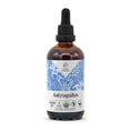Cargar la imagen en la vista de la galería, Astragalus Tincture