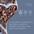 Load image into Gallery viewer, Dark Chocolate Prebiotic SuperBoost Herbal Coffee