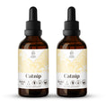 Cargar la imagen en la vista de la galería, Catnip Tincture