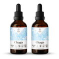 Load image into Gallery viewer, Chaga Tincture