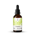 Cargar la imagen en la vista de la galería, Cilantro Tincture