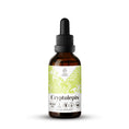 Load image into Gallery viewer, Cryptolepis Tincture