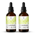Load image into Gallery viewer, Cryptolepis Tincture