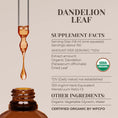 Load image into Gallery viewer, Dandelion Leaf Tincture