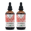 Load image into Gallery viewer, Elecampane Tincture