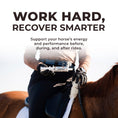 Load image into Gallery viewer, IsoBalance - Horse Electrolyte Paste