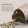 Load image into Gallery viewer, Horehound Capsules
