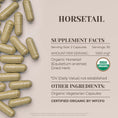 Cargar la imagen en la vista de la galería, Horsetail Capsules