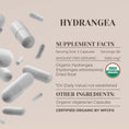 Cargar la imagen en la vista de la galería, Hydrangea Capsules