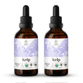 Load image into Gallery viewer, Kelp Tincture