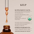 Load image into Gallery viewer, Kelp Tincture