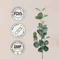 Load image into Gallery viewer, Meadowsweet Capsules