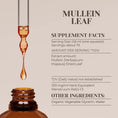 Load image into Gallery viewer, Mullein Leaf Tincture