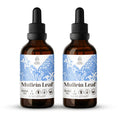Load image into Gallery viewer, Mullein Leaf Tincture