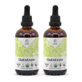 Load image into Gallery viewer, Oatstraw Tincture