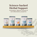 Load image into Gallery viewer, Detox Herbal Tea