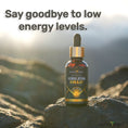Load image into Gallery viewer, Authentic Himalayan Shilajit® Drops