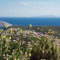 Cargar la imagen en la vista de la galería, Greek Oregano (Ikaria Blue Zone)