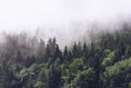 Load image into Gallery viewer, Caspian Wallpaper
