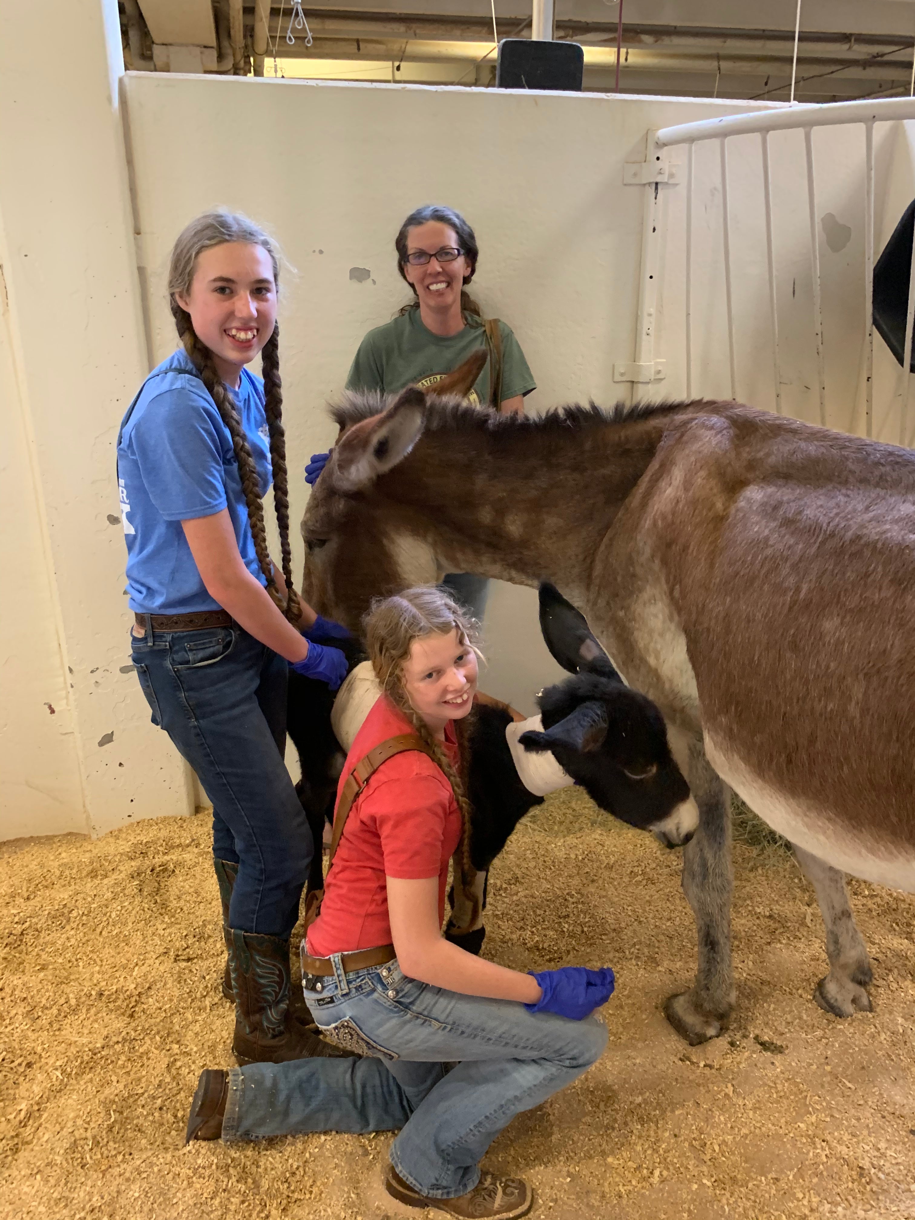 God cares for the Sparrow, and the baby donkey, and the hearts of little girls