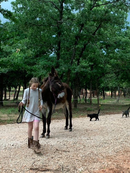 Eczema, Donkey Milk, and Thank You's