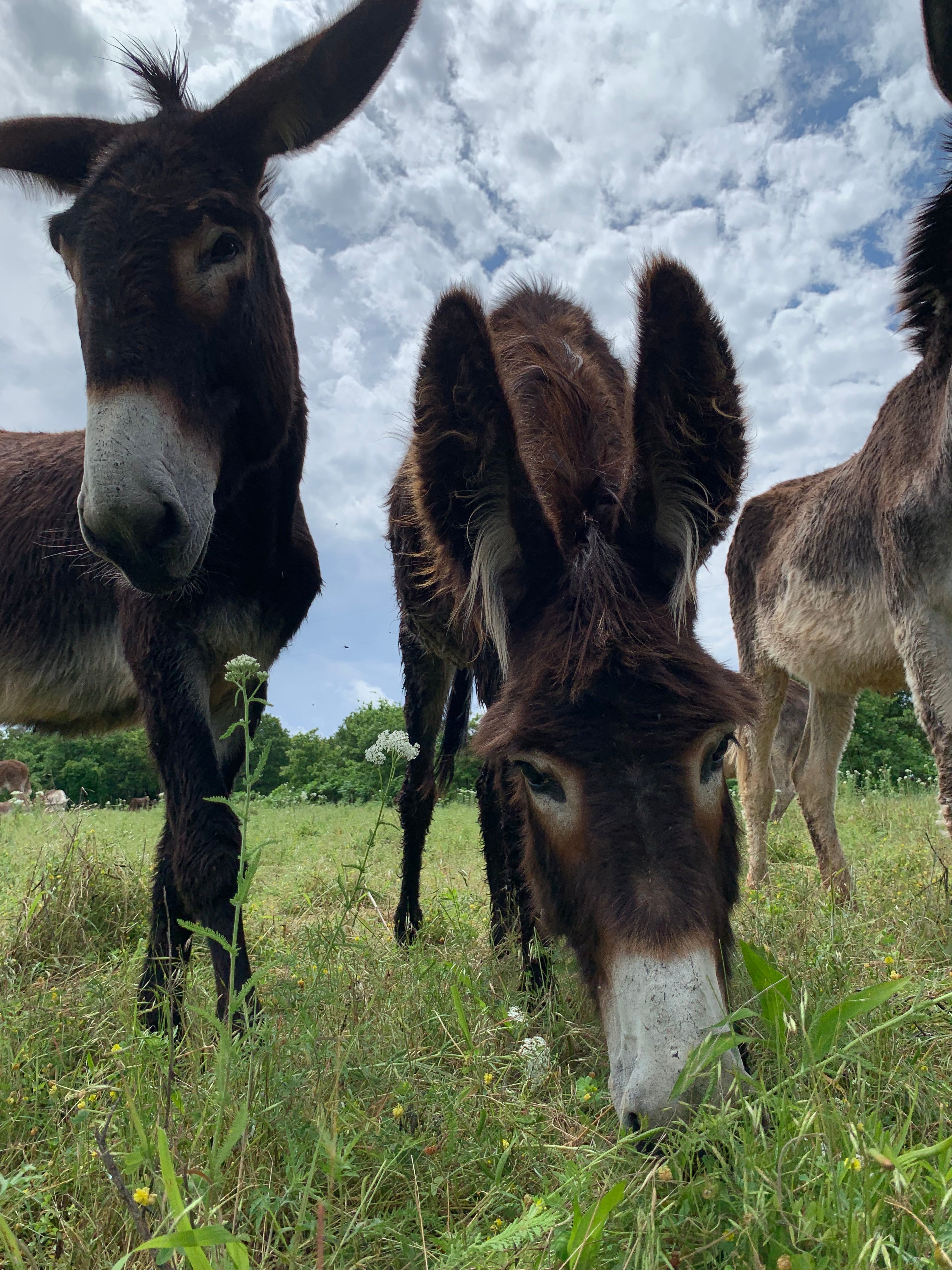 Why I'm a paranoid blogger