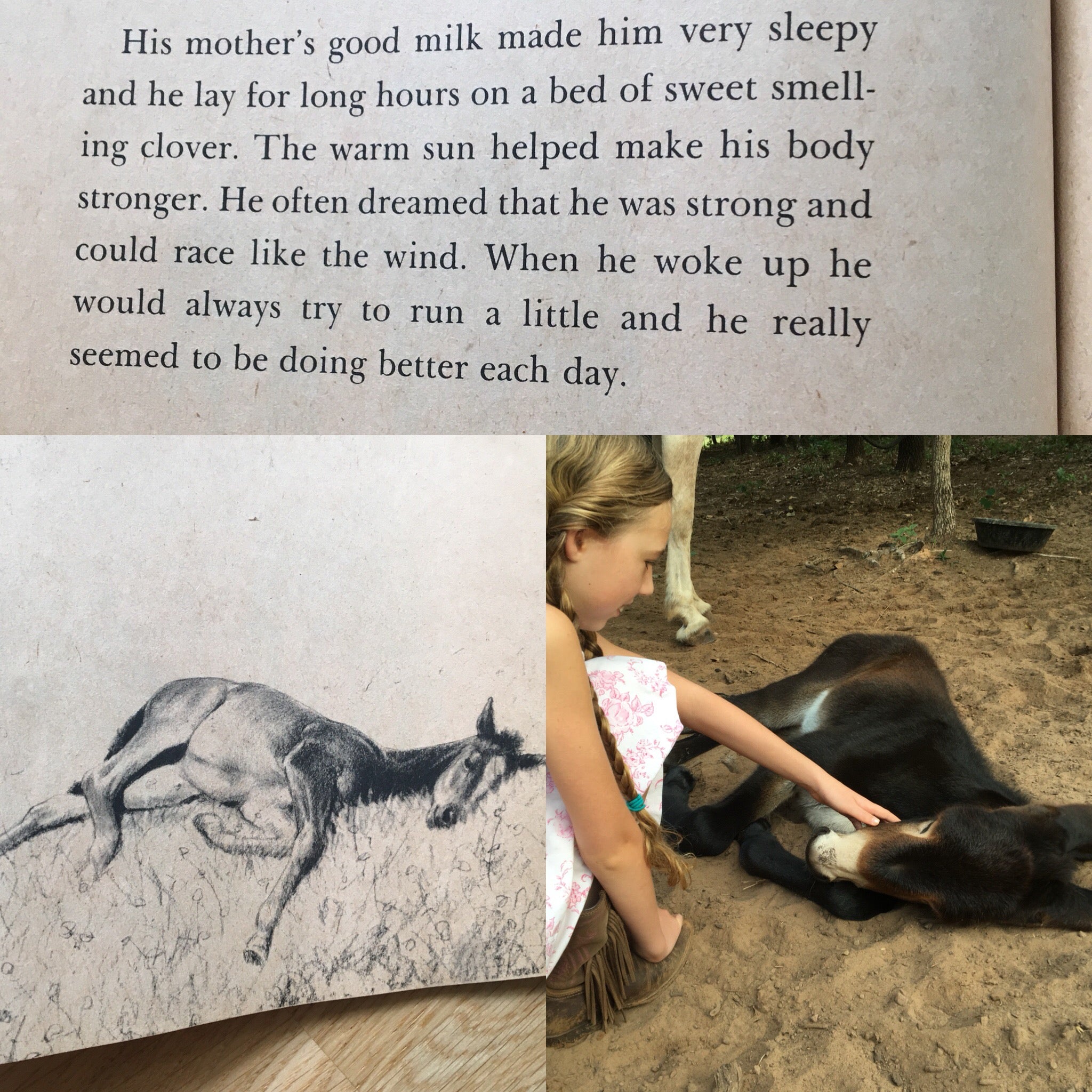 Everything is Awesome