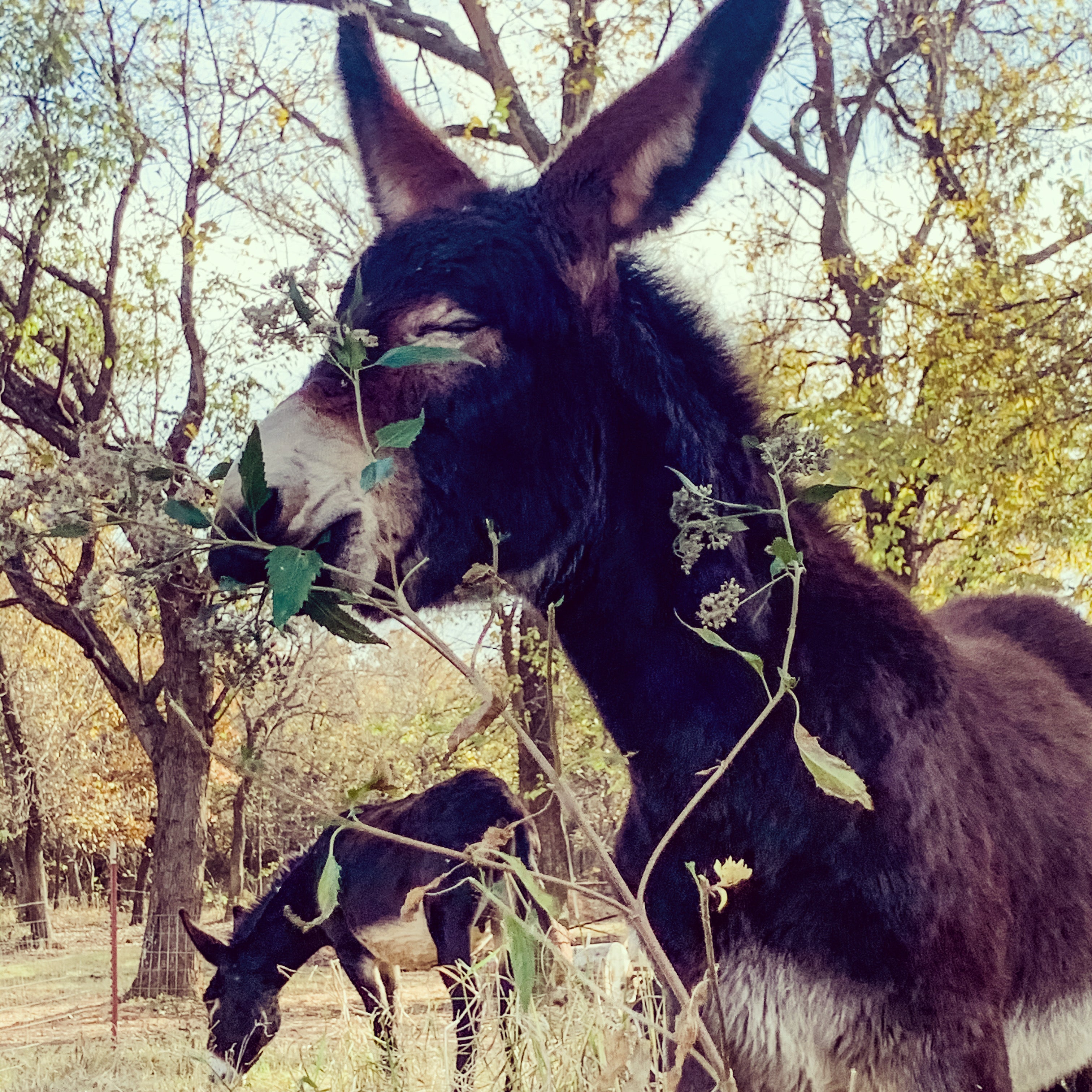 Jonah and the worm. And me. And you. And Ninevah.