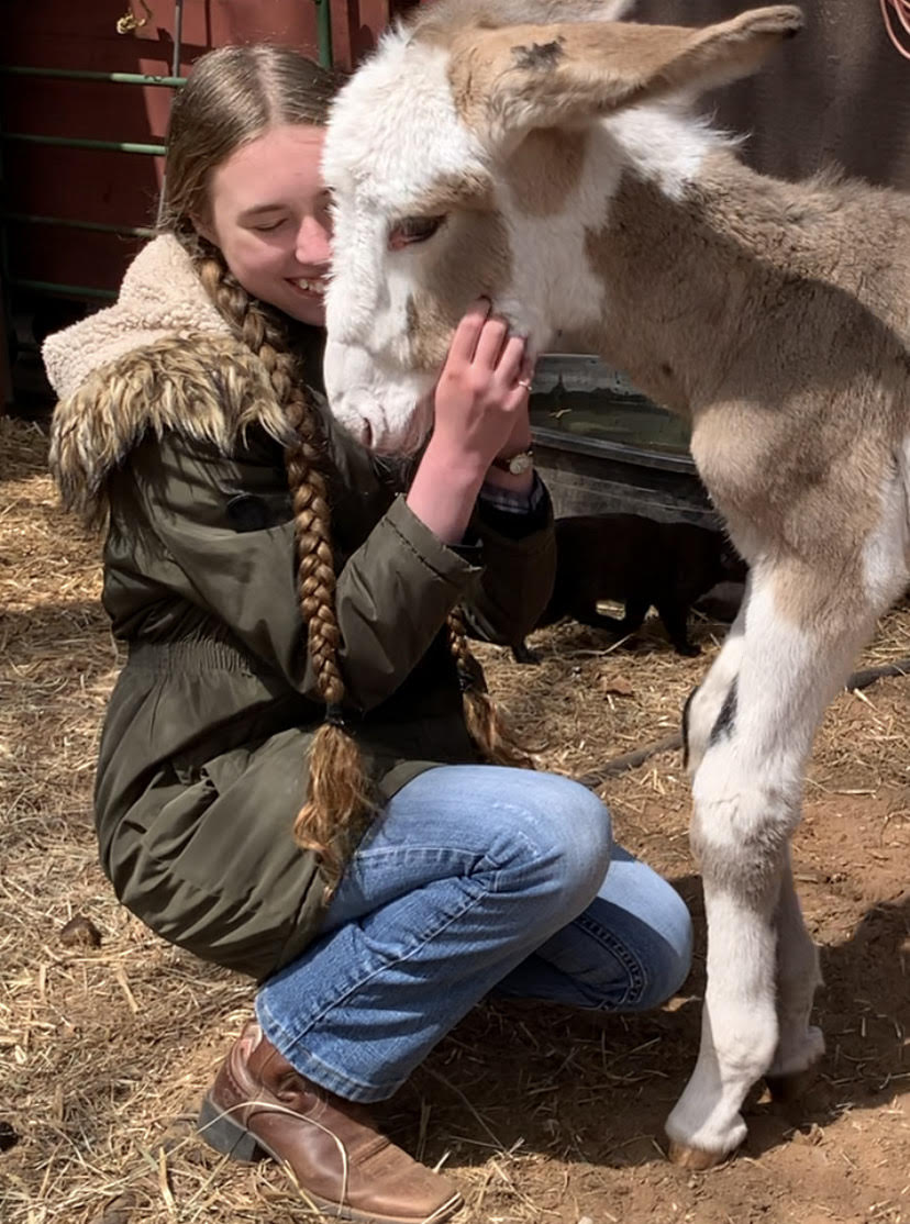 We're giving away our TOP SECRET Non-toxic bath bomb recipe for Christmas