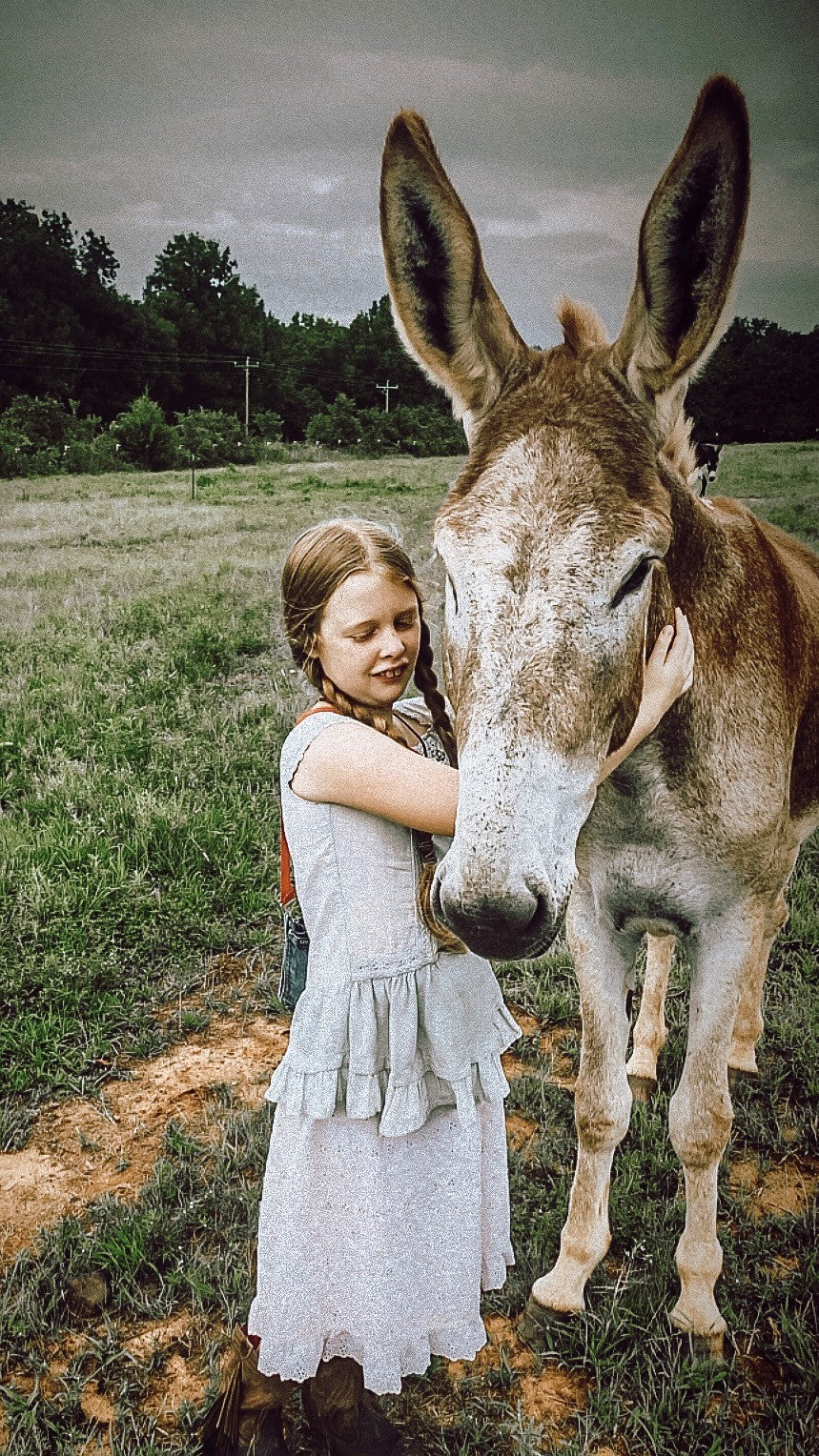 Give the gift of Health for Christmas