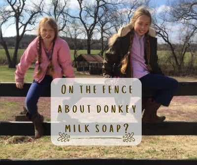 Checklist to know if Dulce donkey milk soap is for you