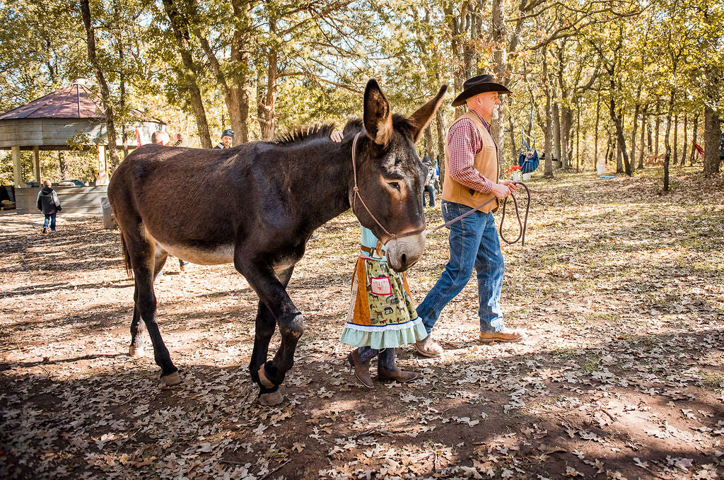 Hee Haw for Health 2019 review