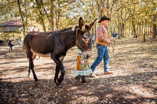Hee Haw for Health 2019 review