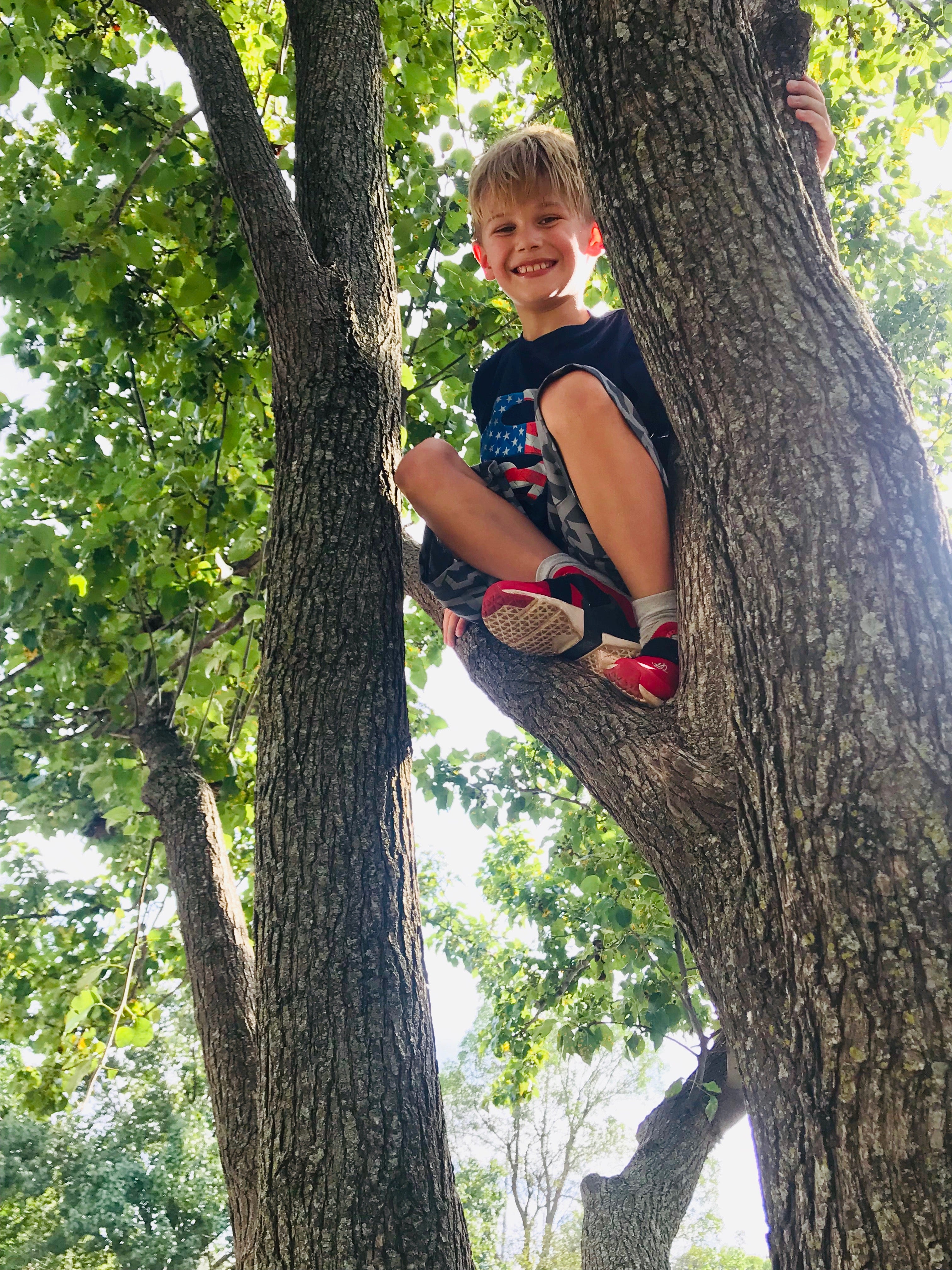 Divine Intervention, Donkey Milk, and Cake