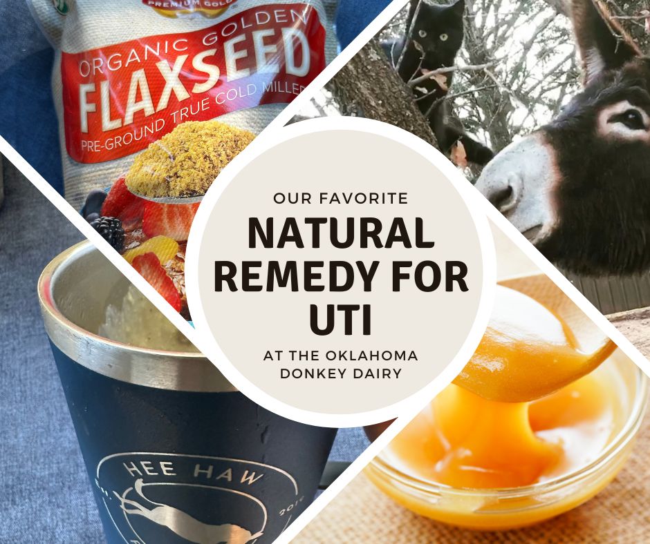 How we kick UTI's without antibiotics at the Oklahoma Donkey Dairy