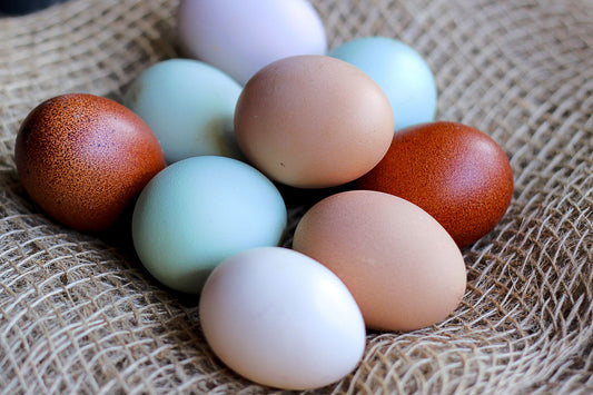 A week of Paleo Recipes for the Exhausted Mom
