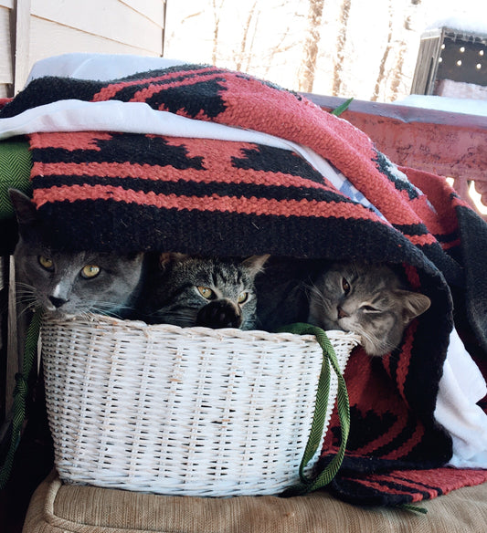 The cats in the cradle