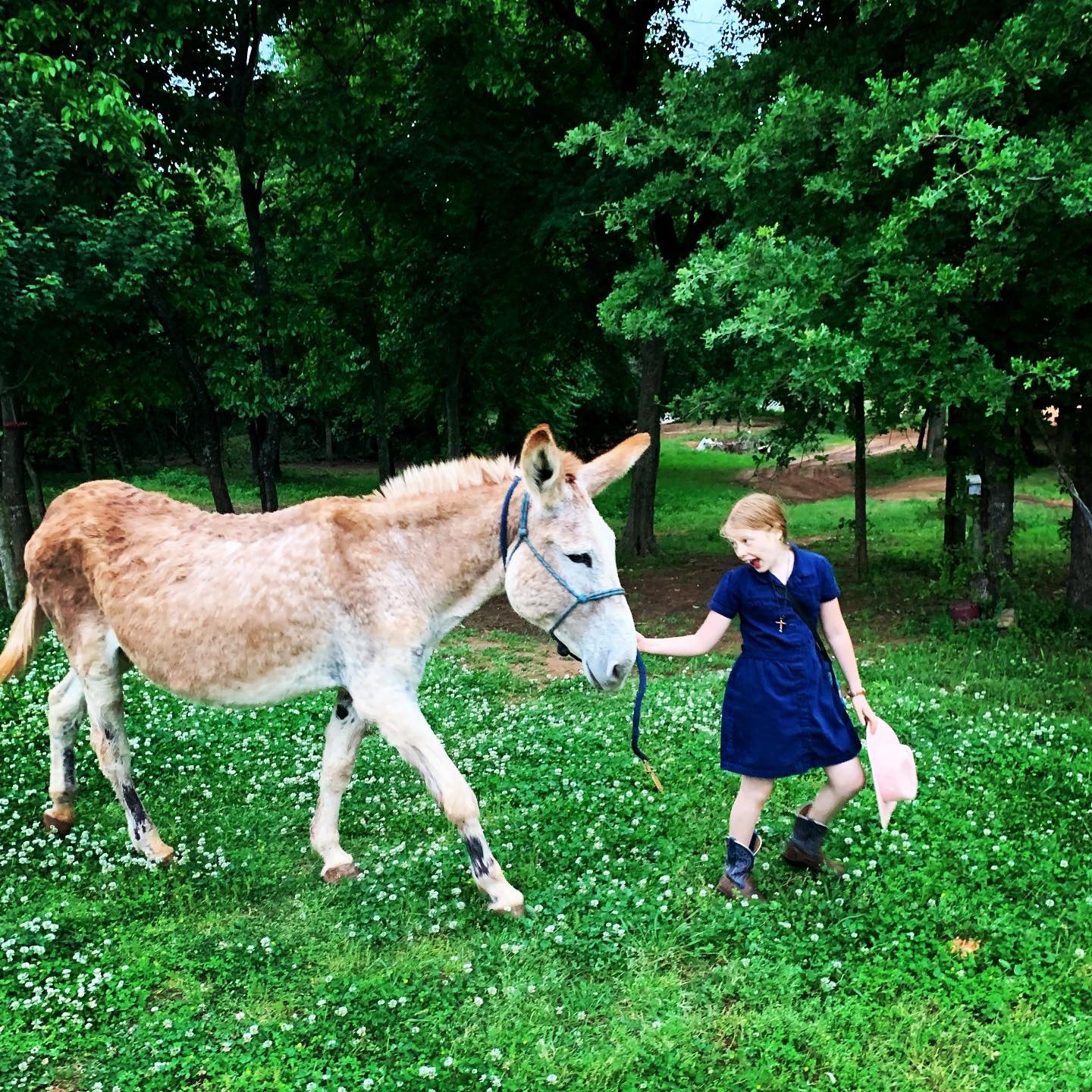 Grateful for the grace to stand