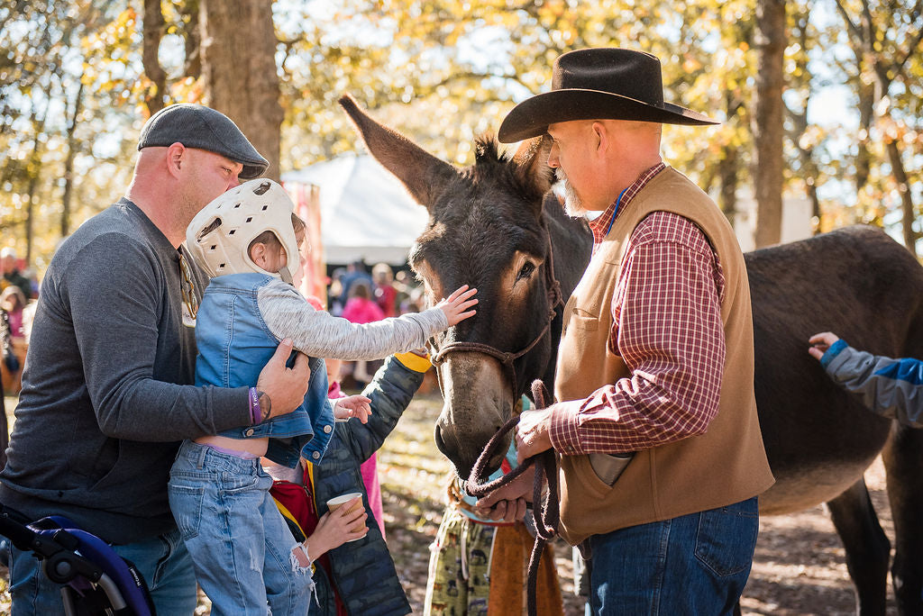At the Donkey Dairy