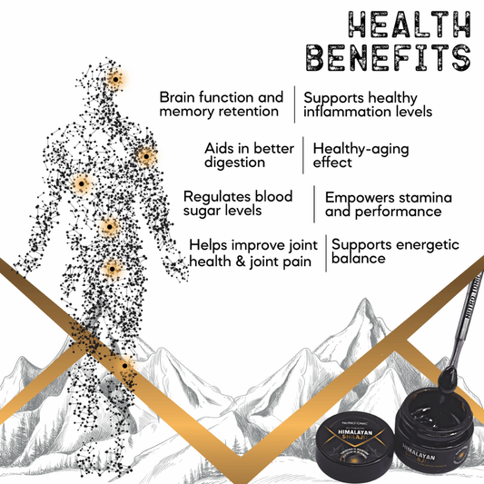 Authentic Himalayan Shilajit® Resin 5Grams
