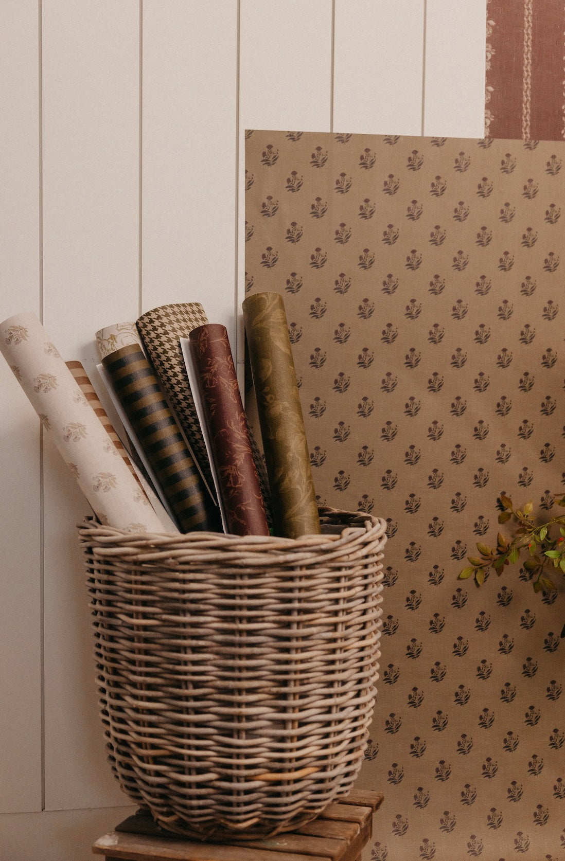 Savile Row Wallpaper by Safari Natalia x Taddy Mikelaites